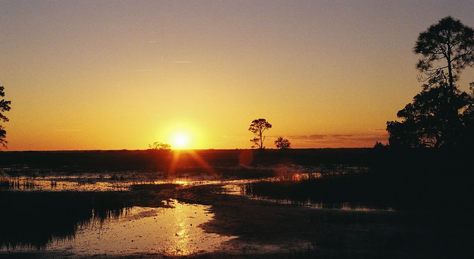 Low sun over a Georgia salt marsh, a tidal creek winding through spartina grass toward the horizon.