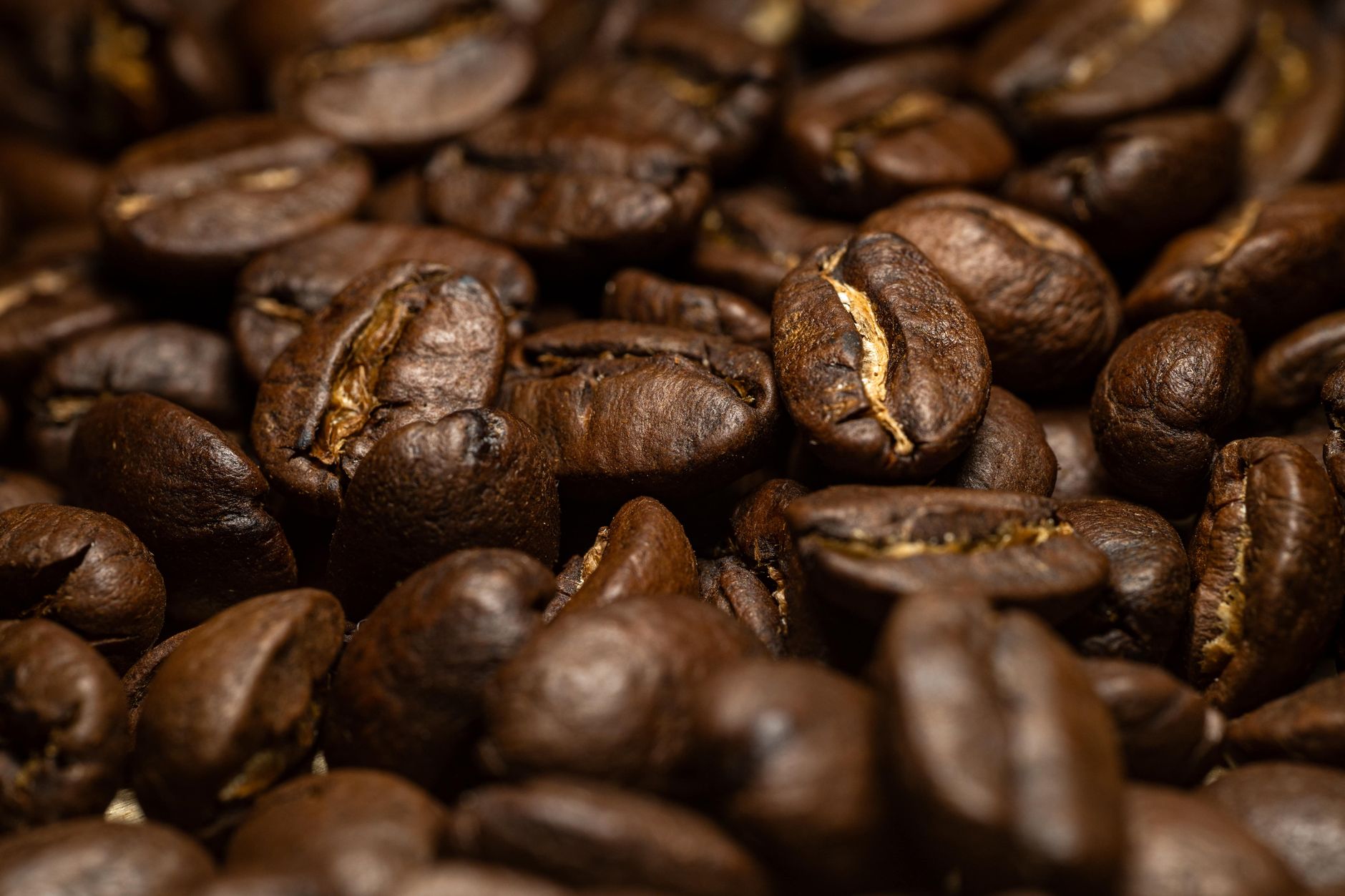 Roasted coffee beans in close-up, dark brown and glossy, with the centre cut showing pale along each bean.